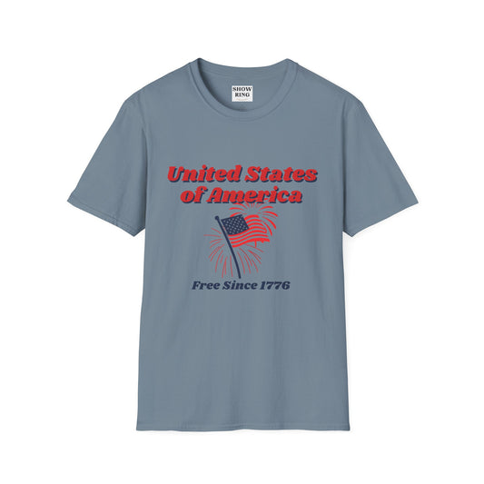 America:  Free Since 1776, Fourth of July Freedom T-Shirt, Unisex USA Tee, American Flag Shirt, Independence Day Outfit, Patriotic Gift, Summer Casual Wear